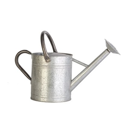 Panacea Productsrp GAL Galv WTR Can 84882